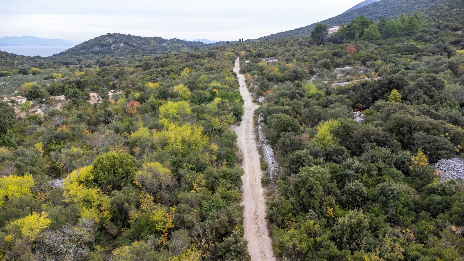 Trpanjski putevi maslinovog ulja