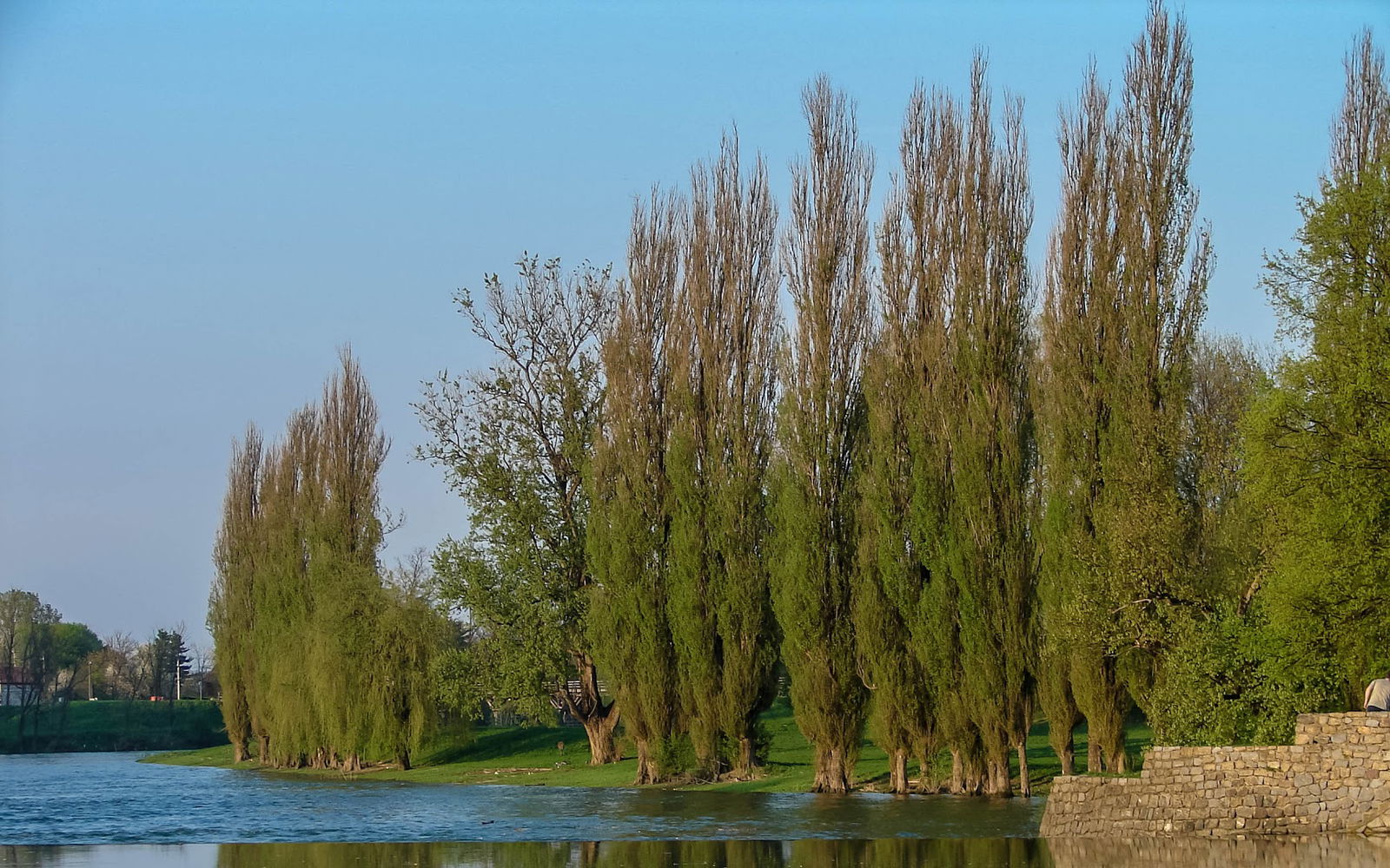 Plaža za pse / Dog's beach