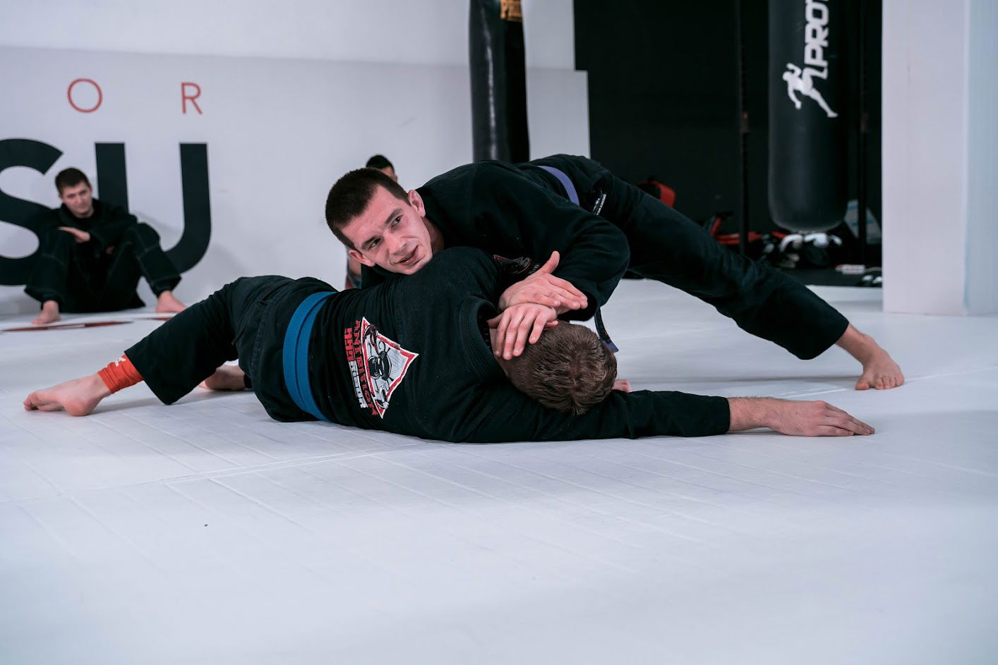 Ant-Bition Gym - Jiujitsu | MMA | Functional fitness