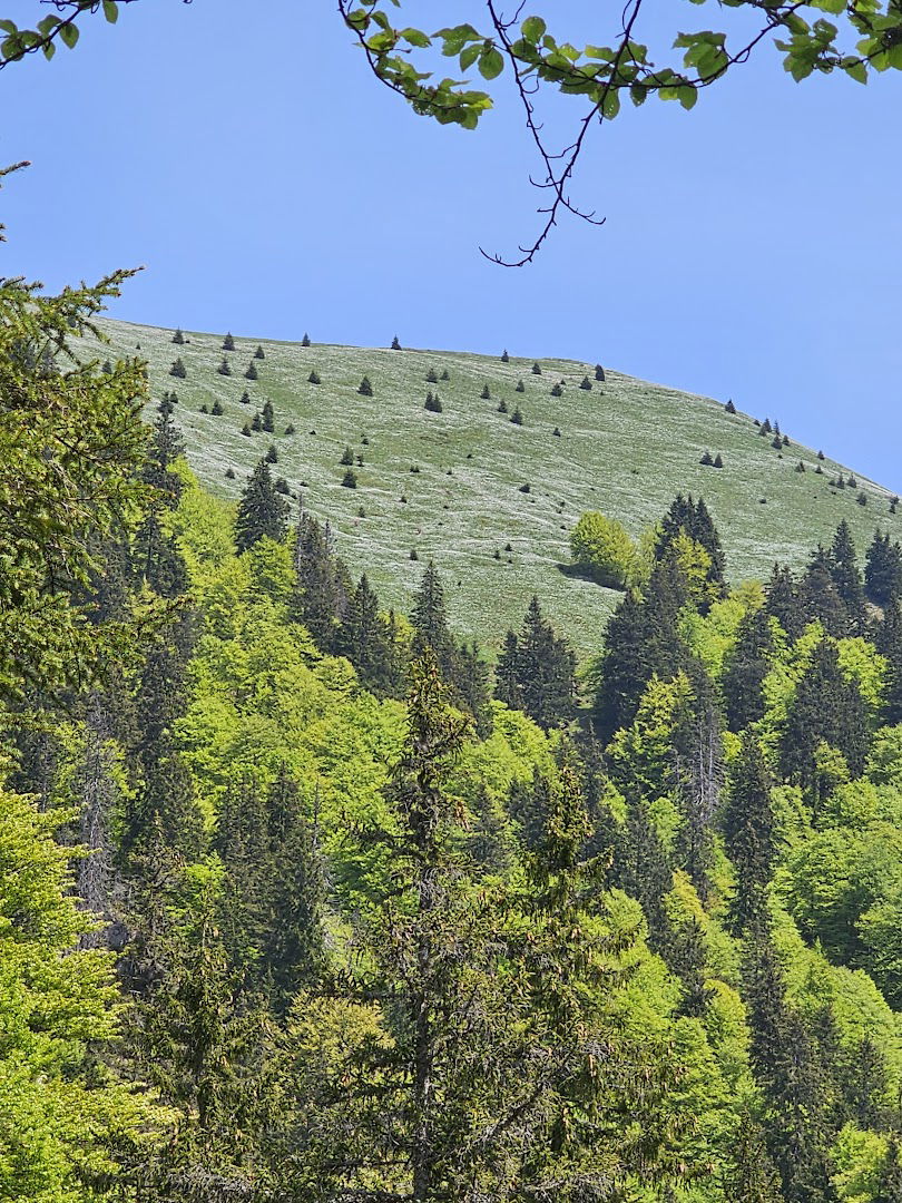 Turistično društvo Golica Planina pod Golico