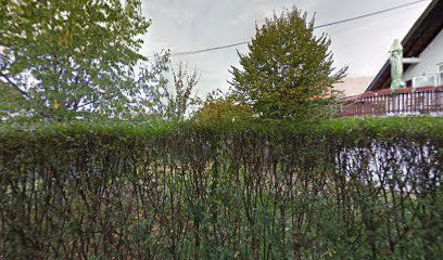 Dom za stara i nepokretna lica - "Pegaz" Zemun