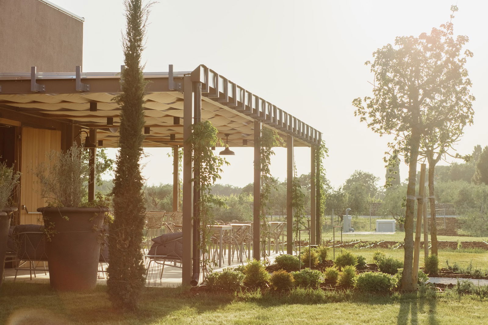 Meneghetti Winery - Wine Lounge