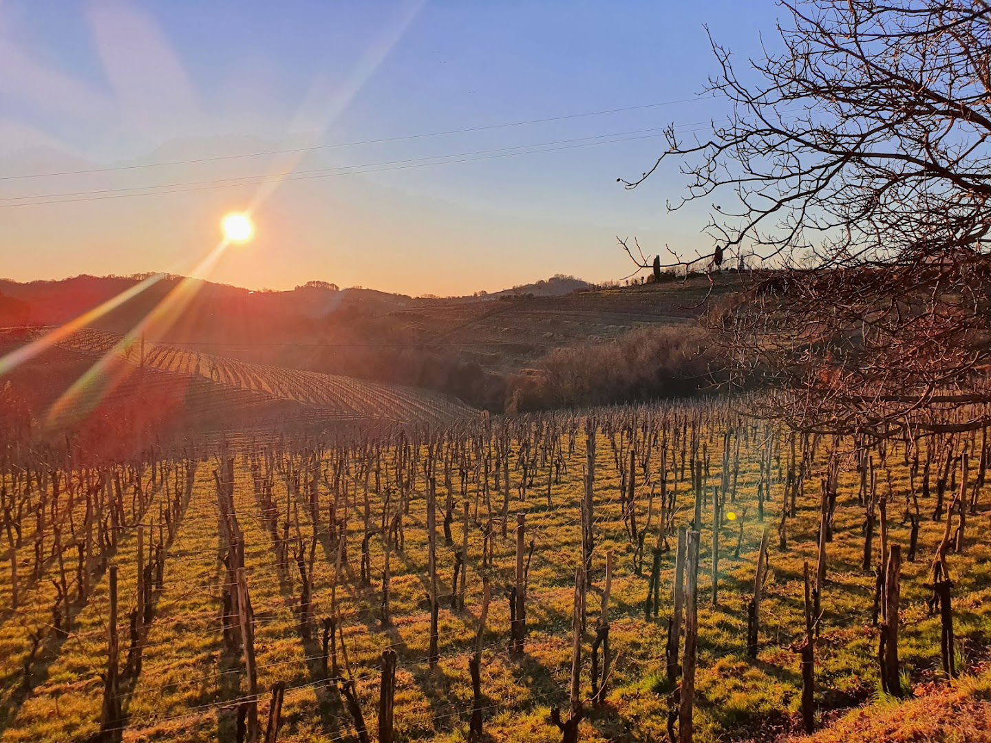 La Castellada Di Bensa Giorgio E Nicolo Societa Agricola