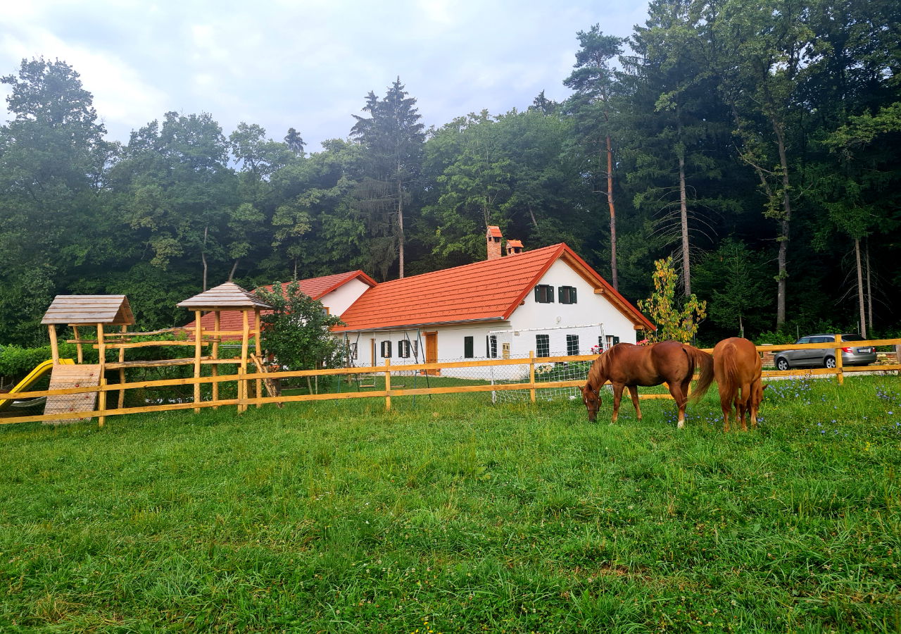 Turistična kmetija Hiša ob gozdu