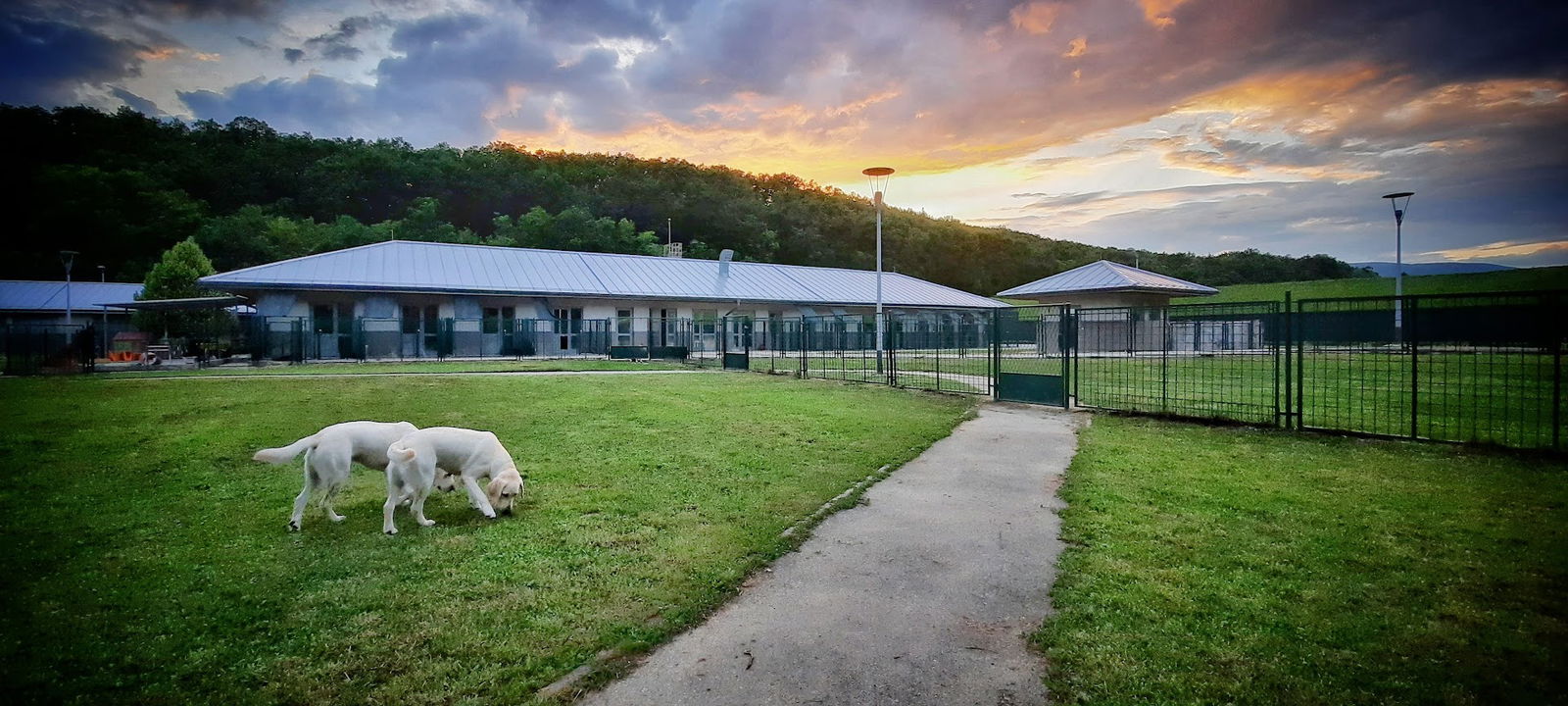 Centar za rehabilitaciju SILVER