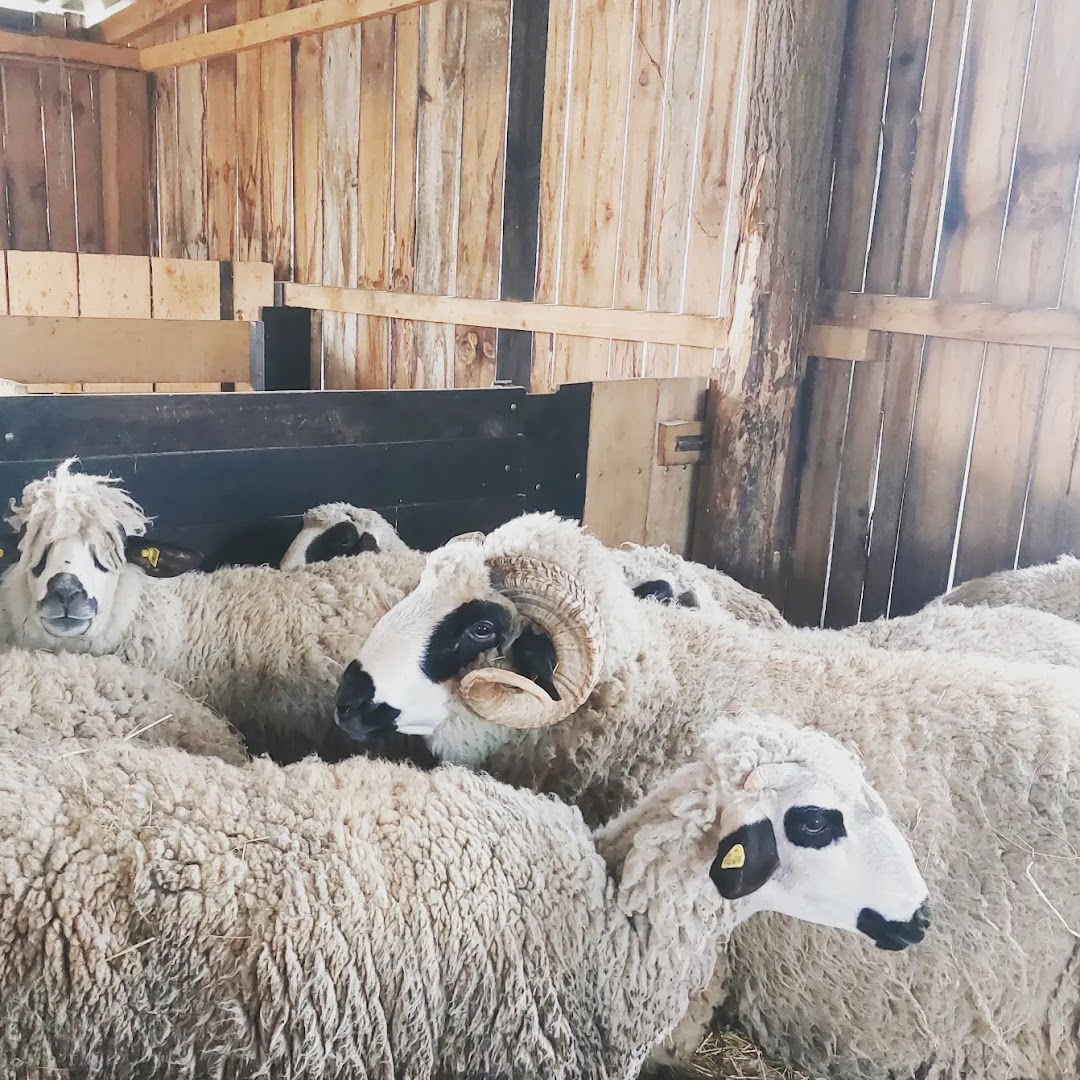 Farma sjeničkih ovaca SPASOJEVIĆ