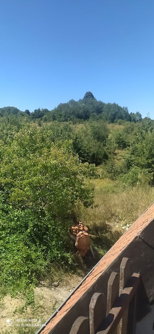 Velika Moštanica /groblje/