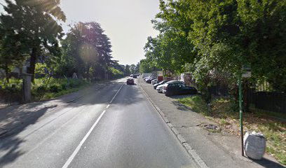 IV beogradska gimnazija