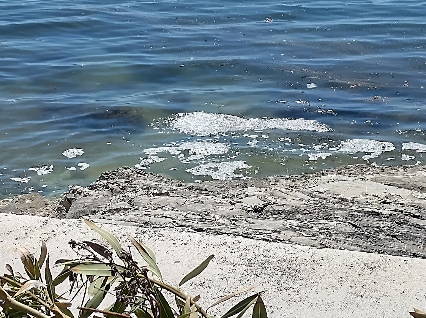 Water Supply and Drainage Ltd. Split