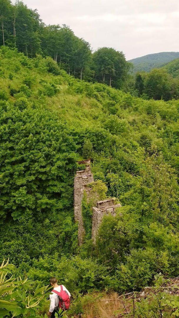 Stupovi mosta Gutmannove pruge