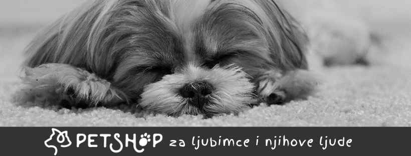 Pet Shop X & Grooming