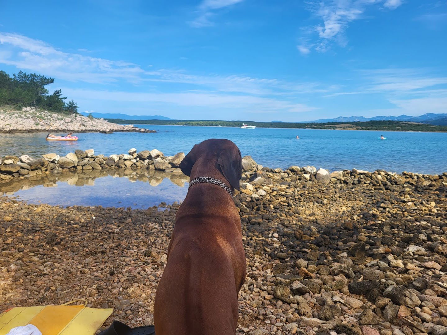 Free little rocks beach