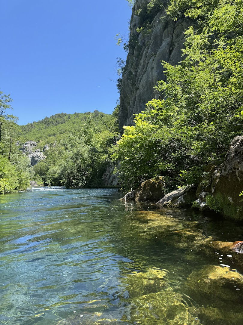Monkey Business Rafting
