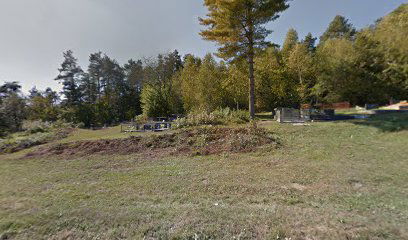 Old cemetery Svojić