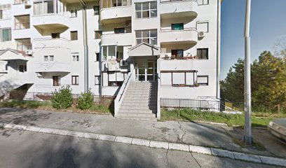 Sretena Mladenovića Mike 14g