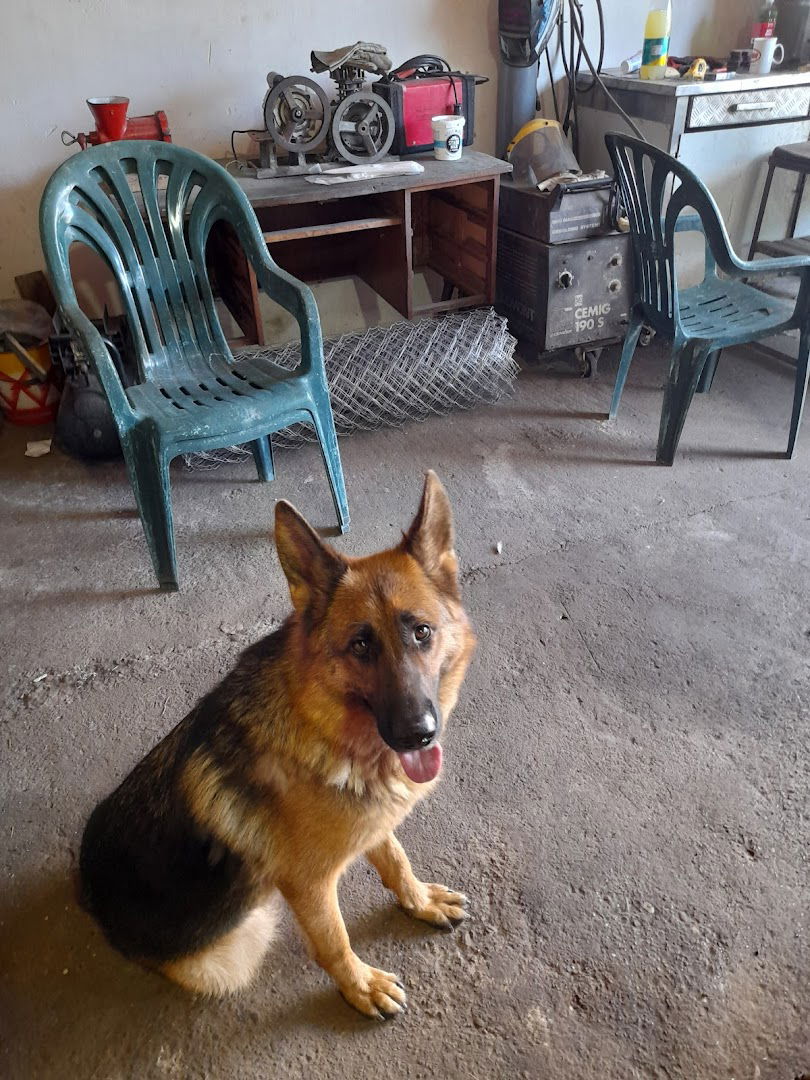 masinska radionica Djenic