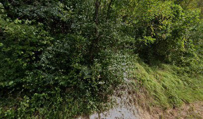 Mortuary Letovčan Novodvorski