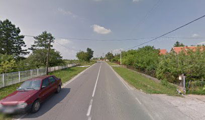 Auto Taksi Pavlovic Zoran Preduzetnik Nemenikuce, Partizanski Put 40