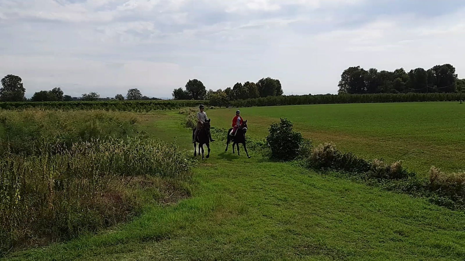 Equiturismo Borgo Sandrigo Asd